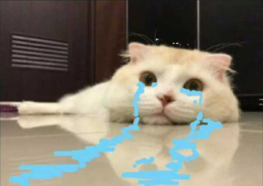 写在误删博客之后